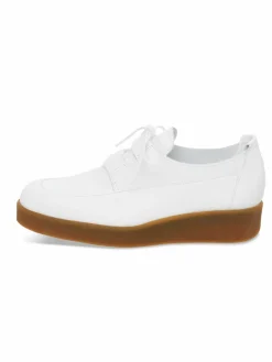 Sale Arche Derby Comkoy