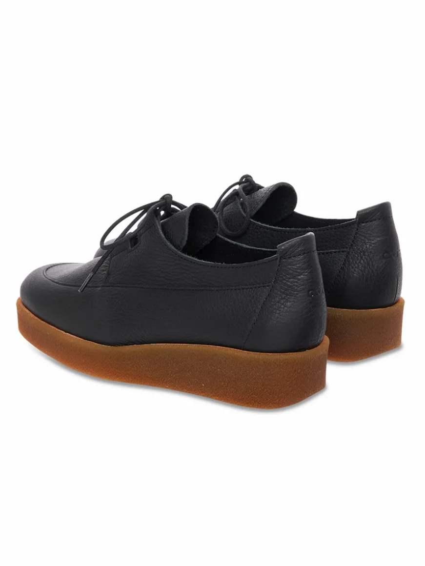 Sale Arche Derby Comkoy