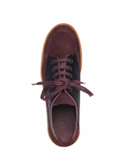 Fashion Arche Sneakers Vaname