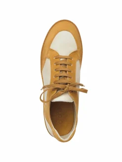 Discount Arche Sneakers Wantko
